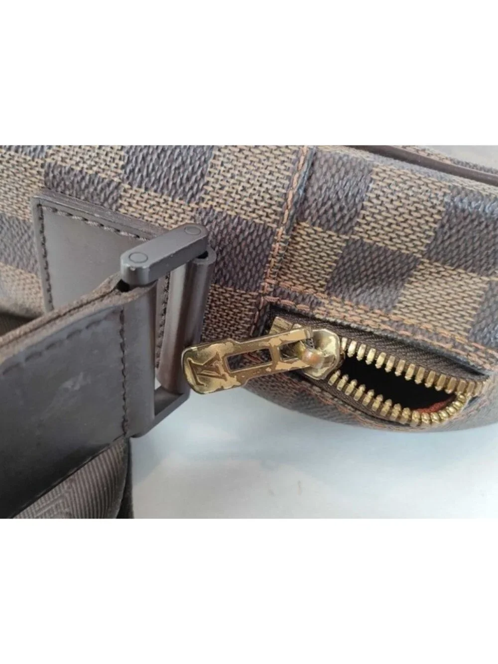 Louis Vuitton brand louis
